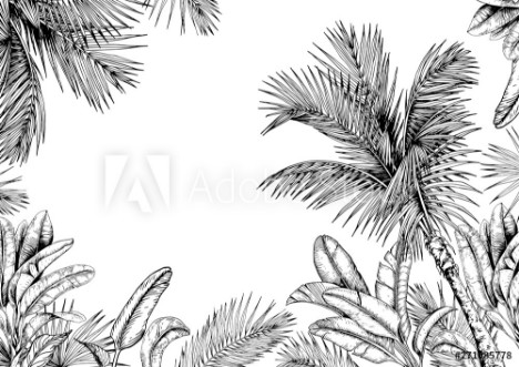 Picture of Tropical card with palm trees and leaves Black and white Hand drawn vector illustration